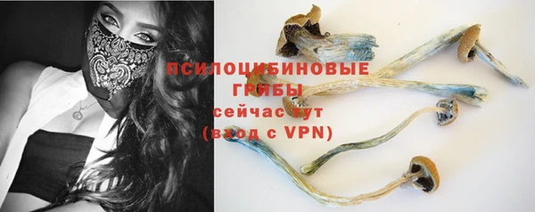 прущие крисы Дмитриев